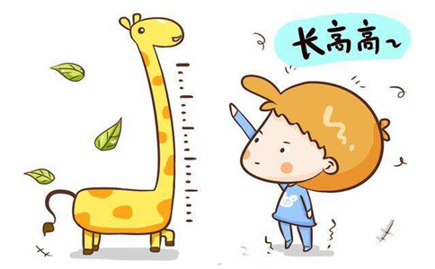 兒童骨強(qiáng)度儀